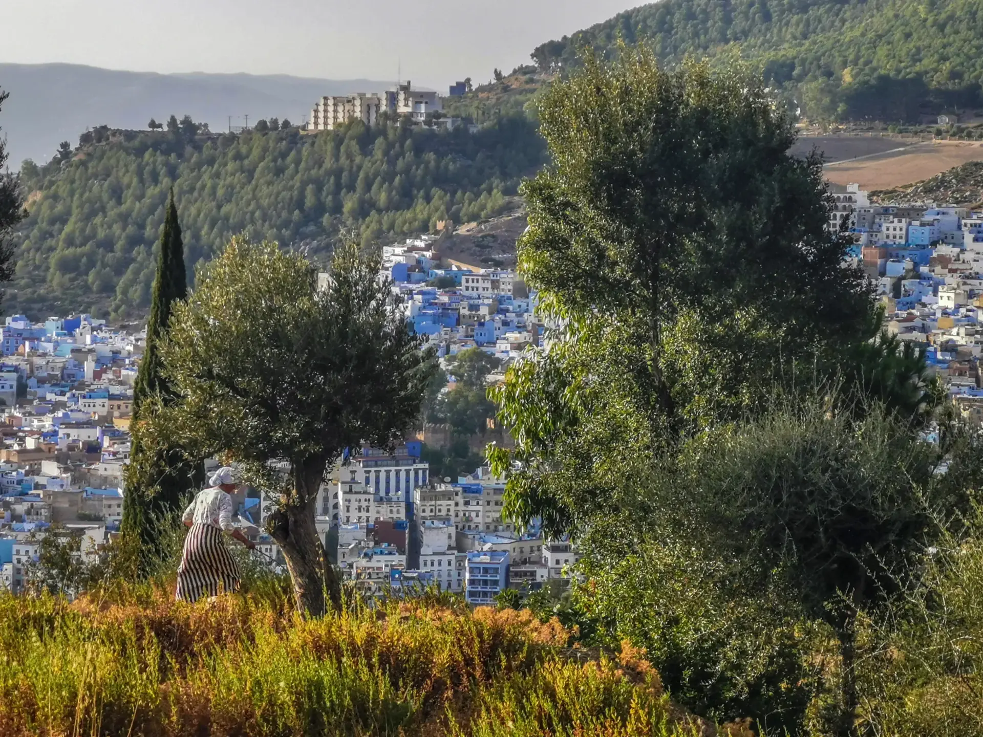 Chefchaouen Couscous Day in a Local Family’s Farmhouse - Gallery