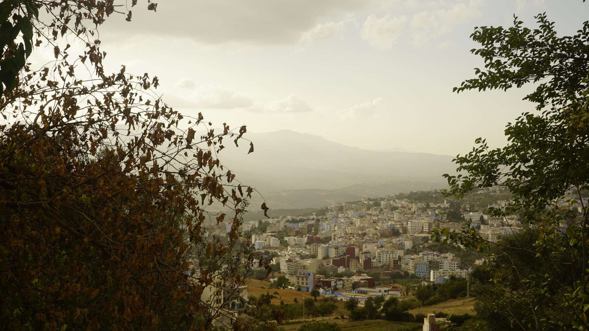 Le coin de paradis de la famille de Mostafa