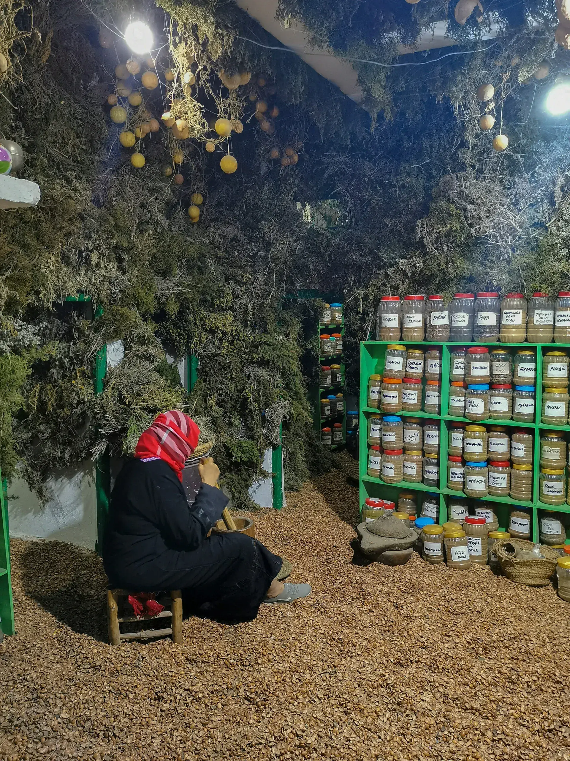 Argan Oil Producing Stage - Gallery