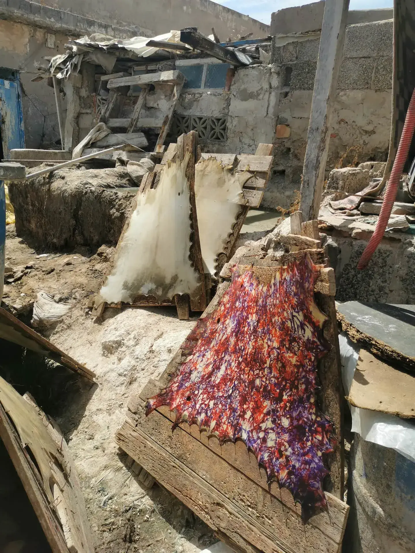 Essaouira: Traditional Tannery Visit - Gallery